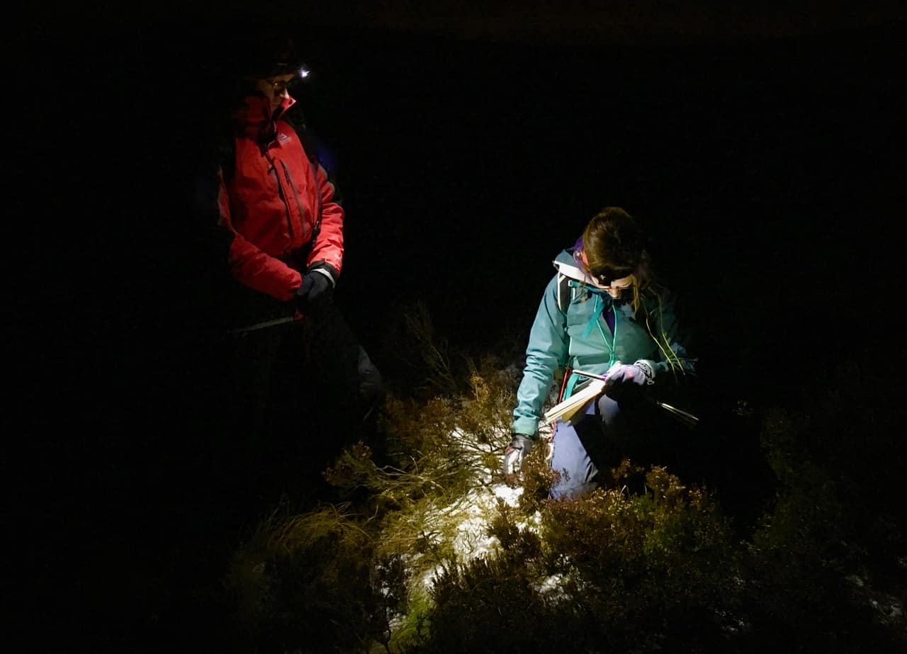 Top tips for night navigation