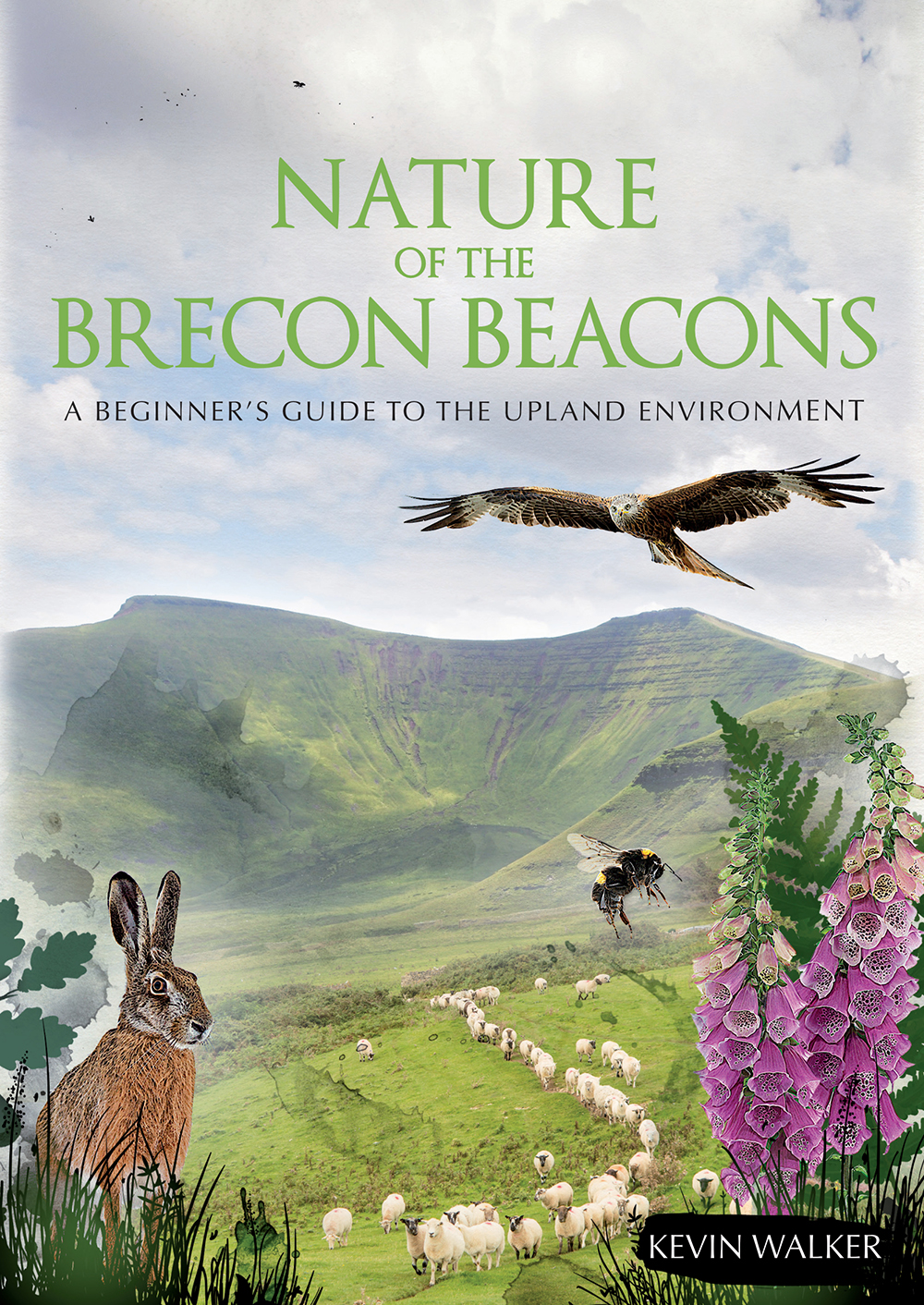 The Nature of the Brecon Beacons