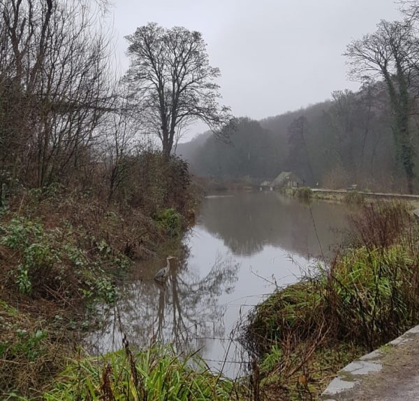 Sheffield Round Walk: a 15 mile loop in the city