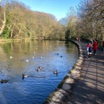 Endcliffe park on a Lowland Leader course