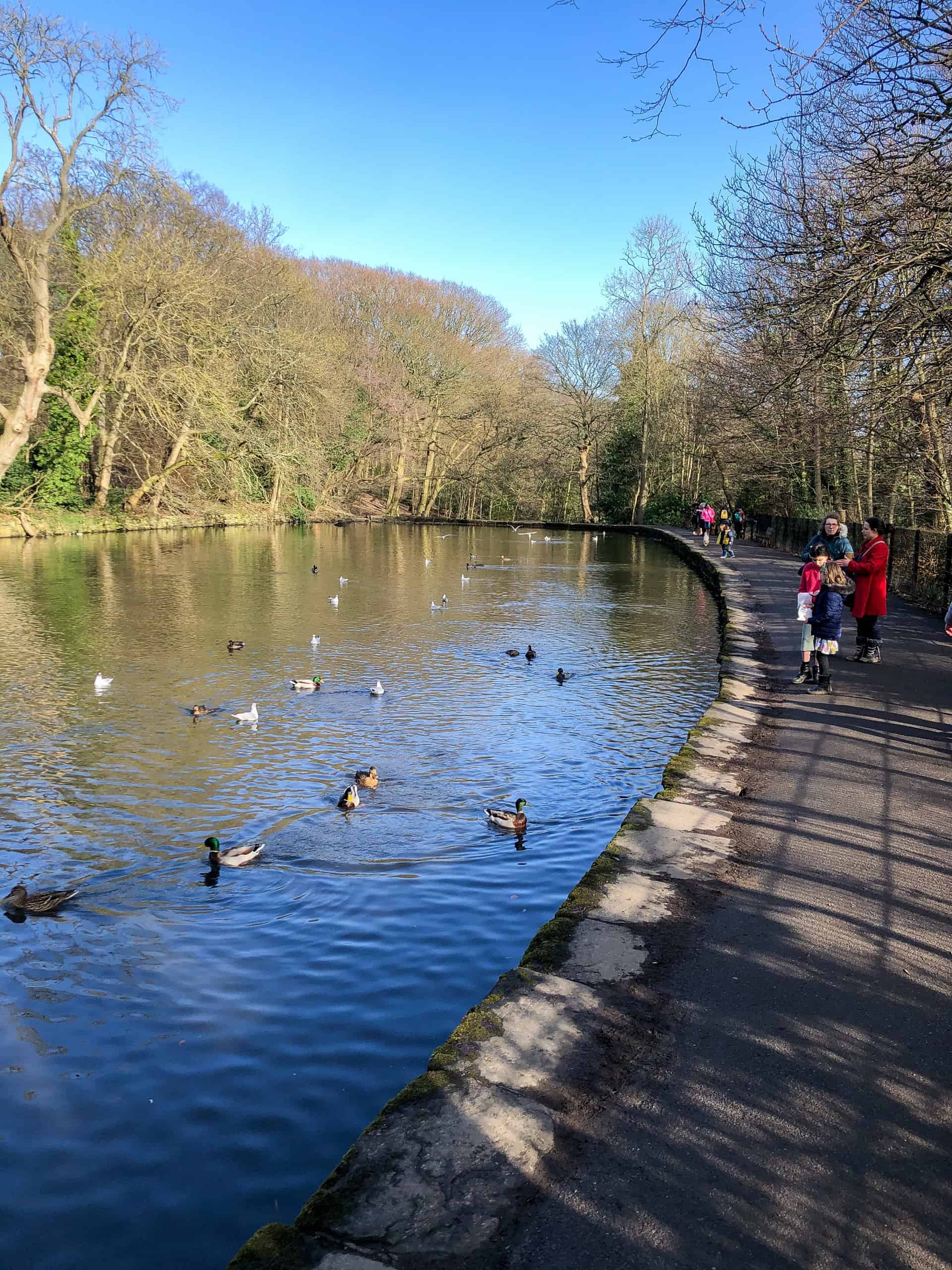 Endcliffe park on a Lowland Leader course