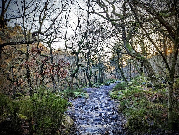 Walks by train: Hathersage to Grindleford