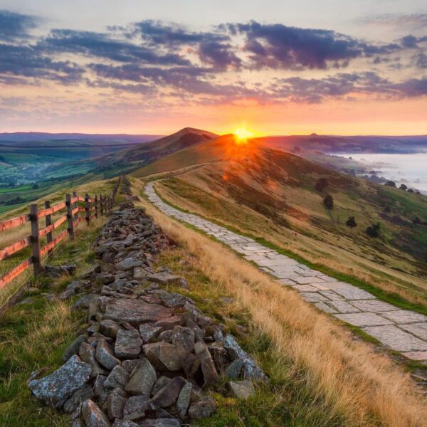 Inspiration Newsletter highlights