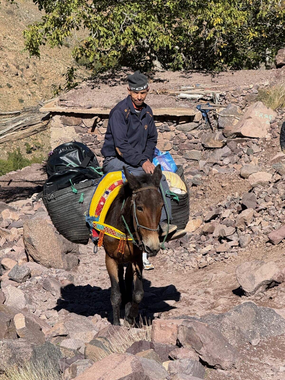 A mule carrying supplies in the Atlas mountains approaching Toubkal.