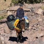 A mule carrying supplies in the Atlas mountains approaching Toubkal.