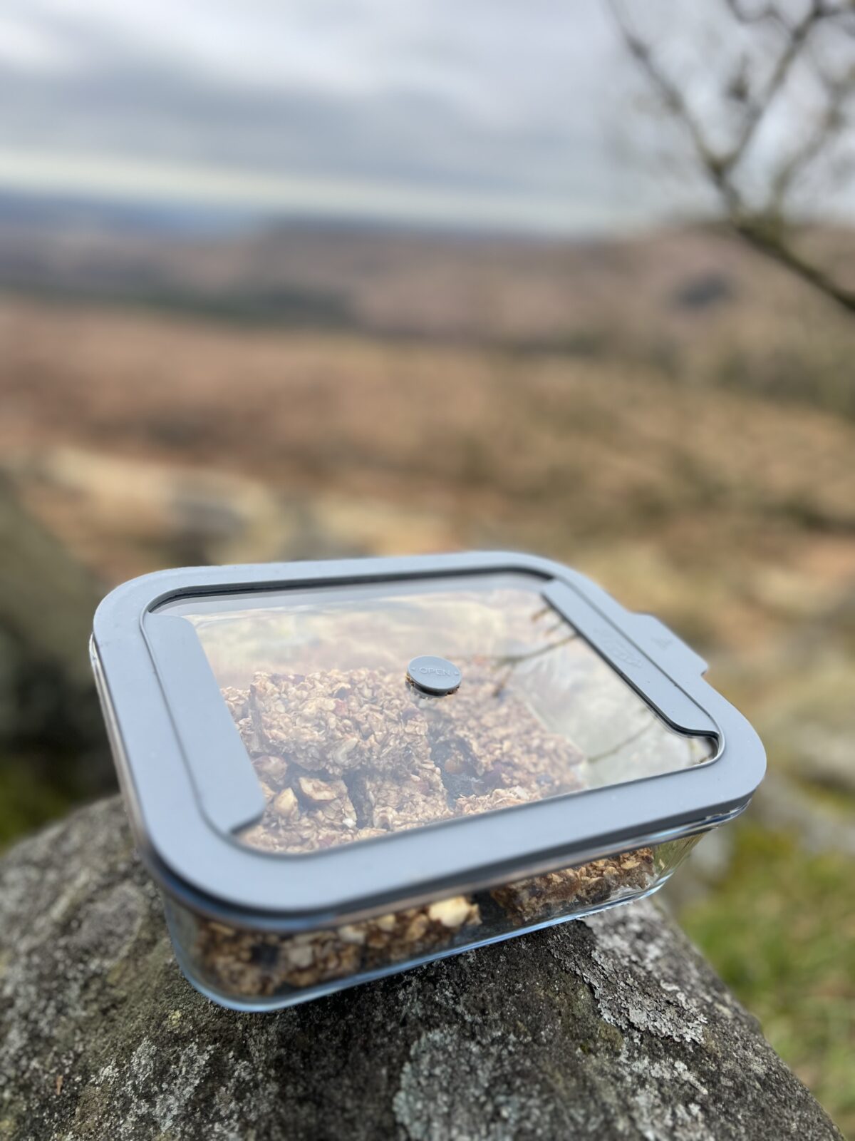 Hill and Mountain Flapjack