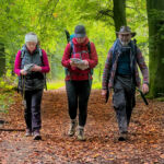 Three people walk down a path on Chatsworth estate on a Lowland Leader course.