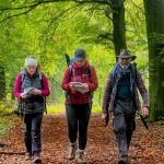 Three people walk down a path on Chatsworth estate on a Lowland Leader course in the Peak District.