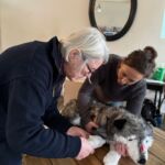 Two women practice bandaging a dogs paw on a dog first aid course.