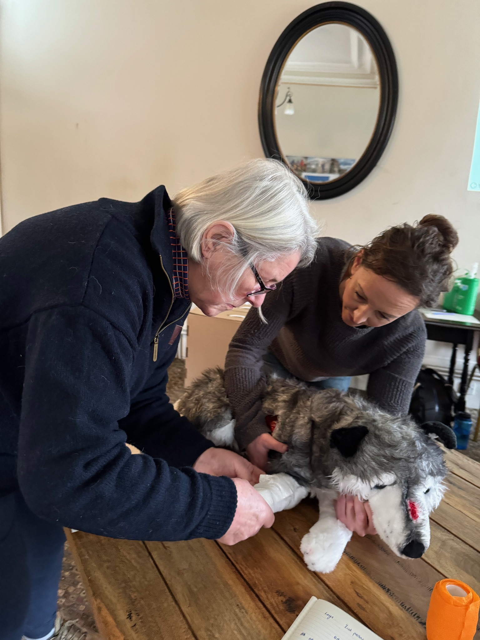 Two women practice bandaging a dogs paw on a dog first aid course.