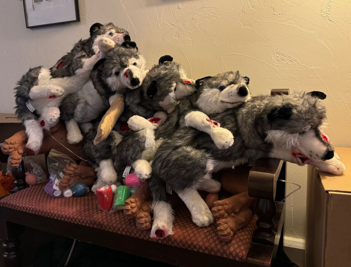 Dog mannikins lying on top of one another on a dog first aid course.