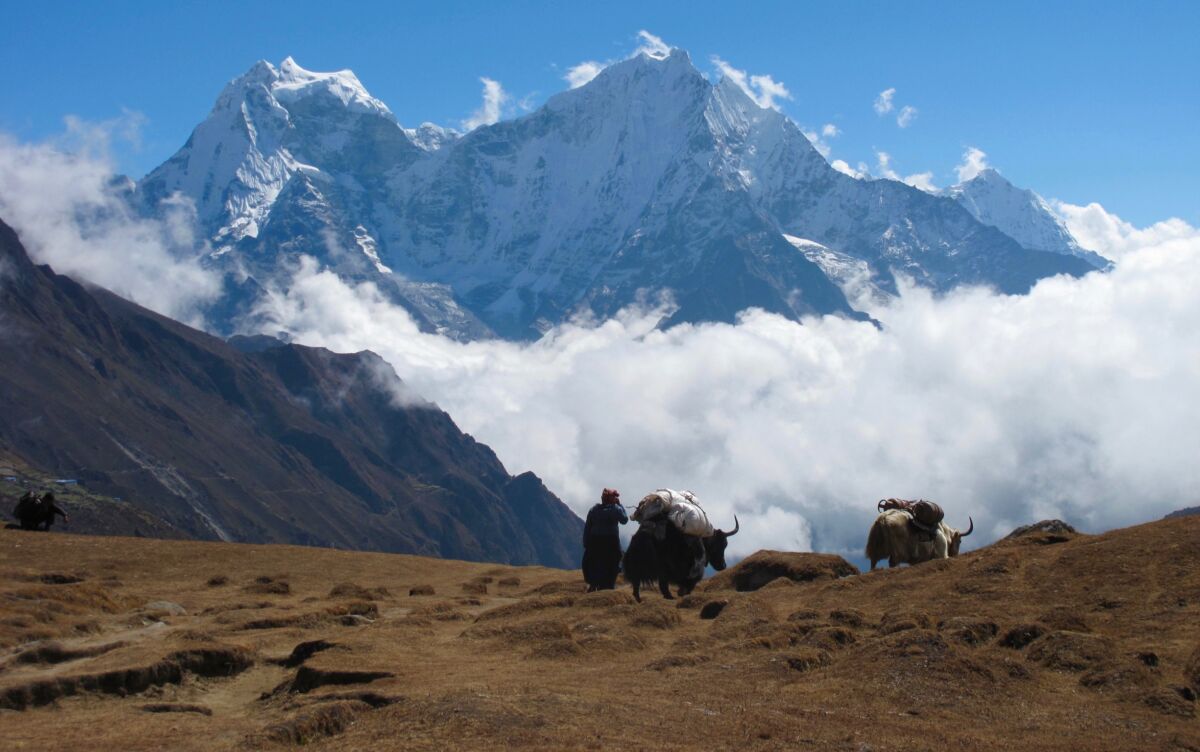 Trekking in the Everest region on the approach to climb Kyajo Ri.