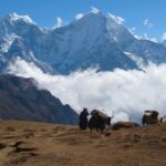 Trekking in the Everest region on the approach to climb Kyajo Ri.
