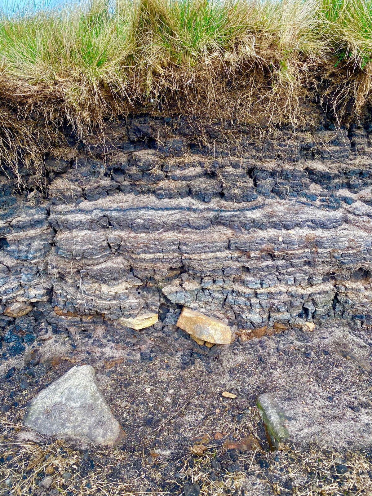 Layers of peat & rock examined on an environmental workshop.