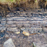 Layers of peat & rock examined on an environmental workshop.