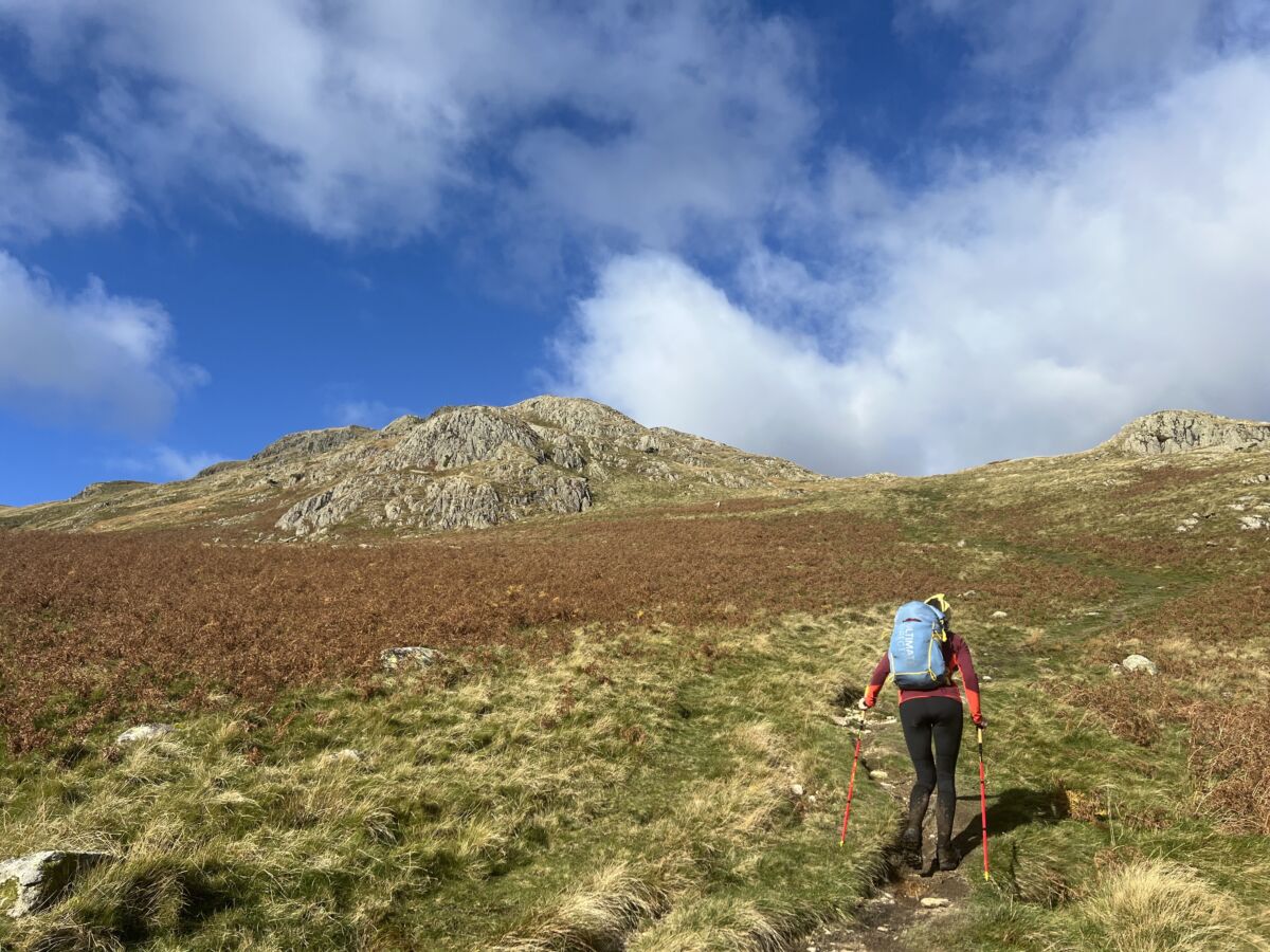 Our Third OMM: highs, lows and have we actually learned anything?