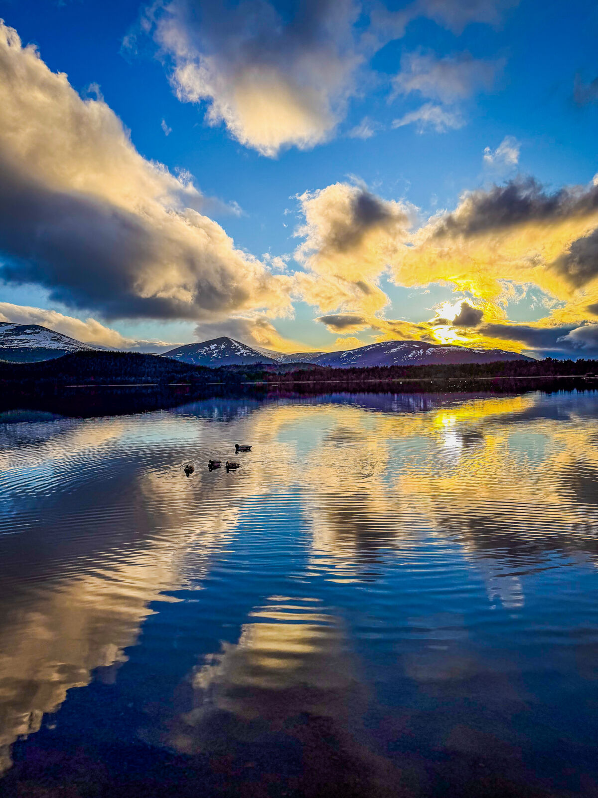 Loch Morlich reflections with the Cairngorms in the background
